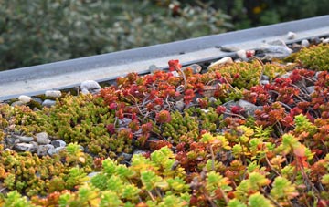 the cost of Shimpling green roof installation
