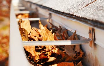 Shimpling gutter cleaning companies