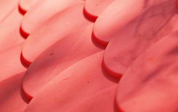 Shimpling plastic roof costs