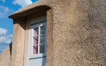 Shimpling thatch roof disadvantages