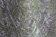 Shimpling fibreglass roof work